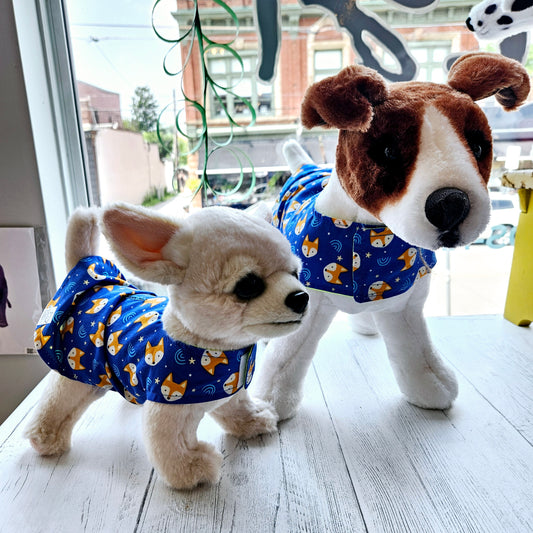 Pet Raincoats + Pouch