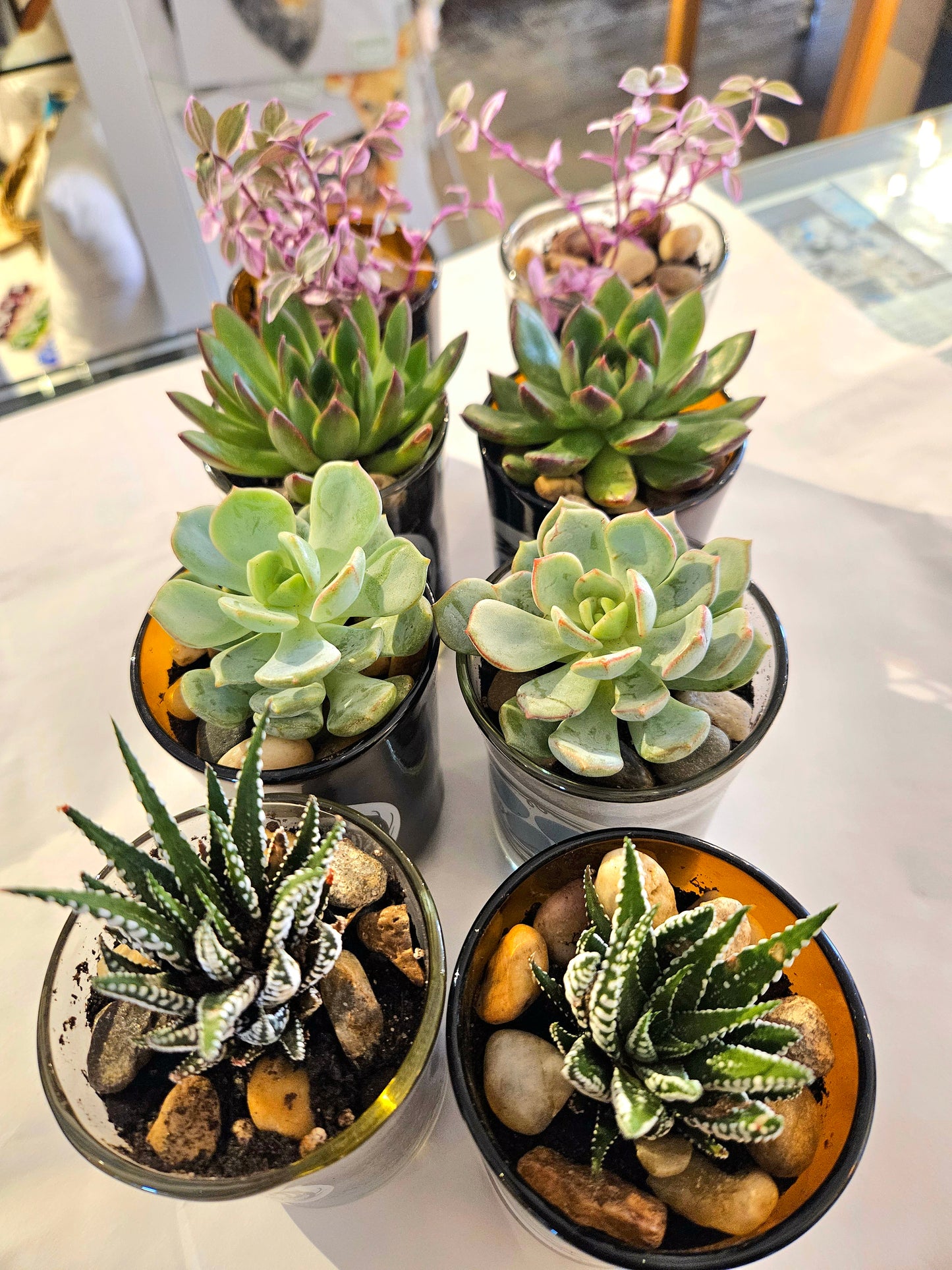 Beer Bottle Mini Planters