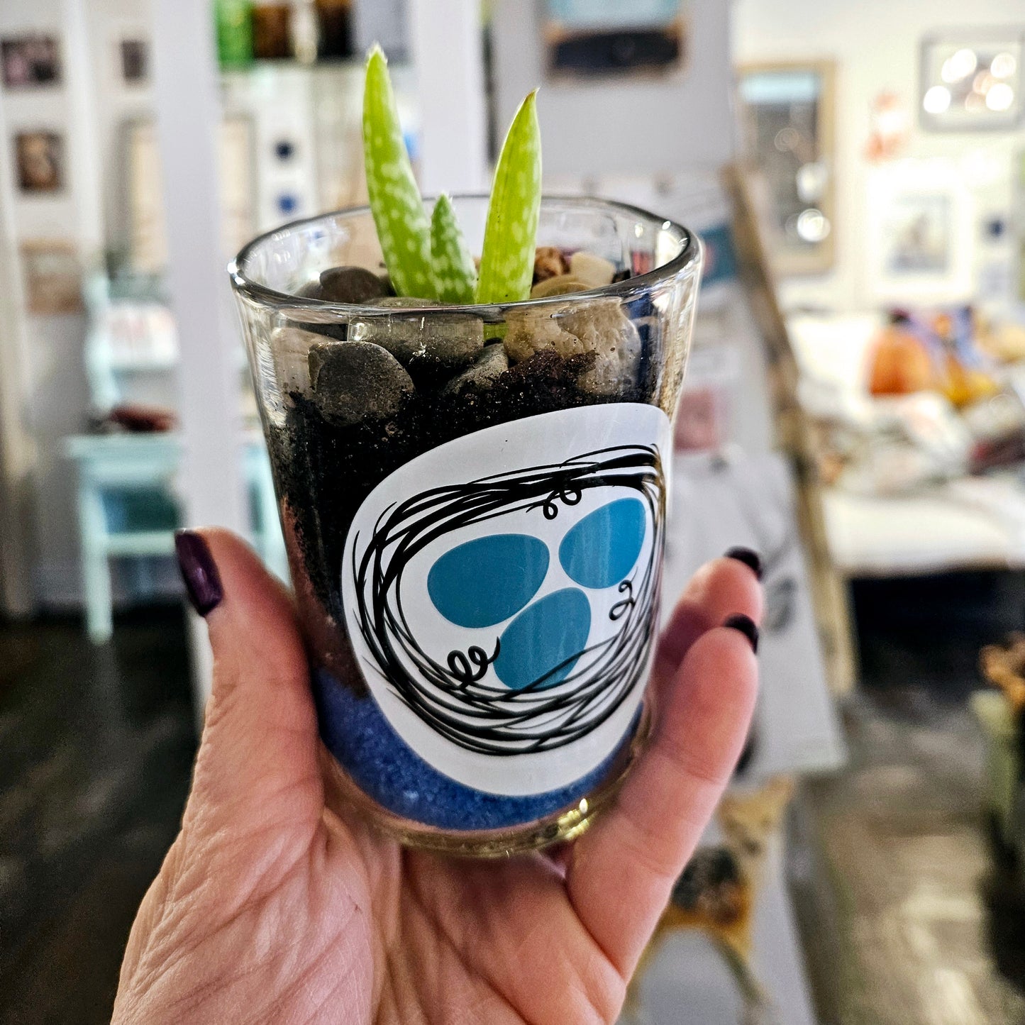 Beer Bottle Mini Planters