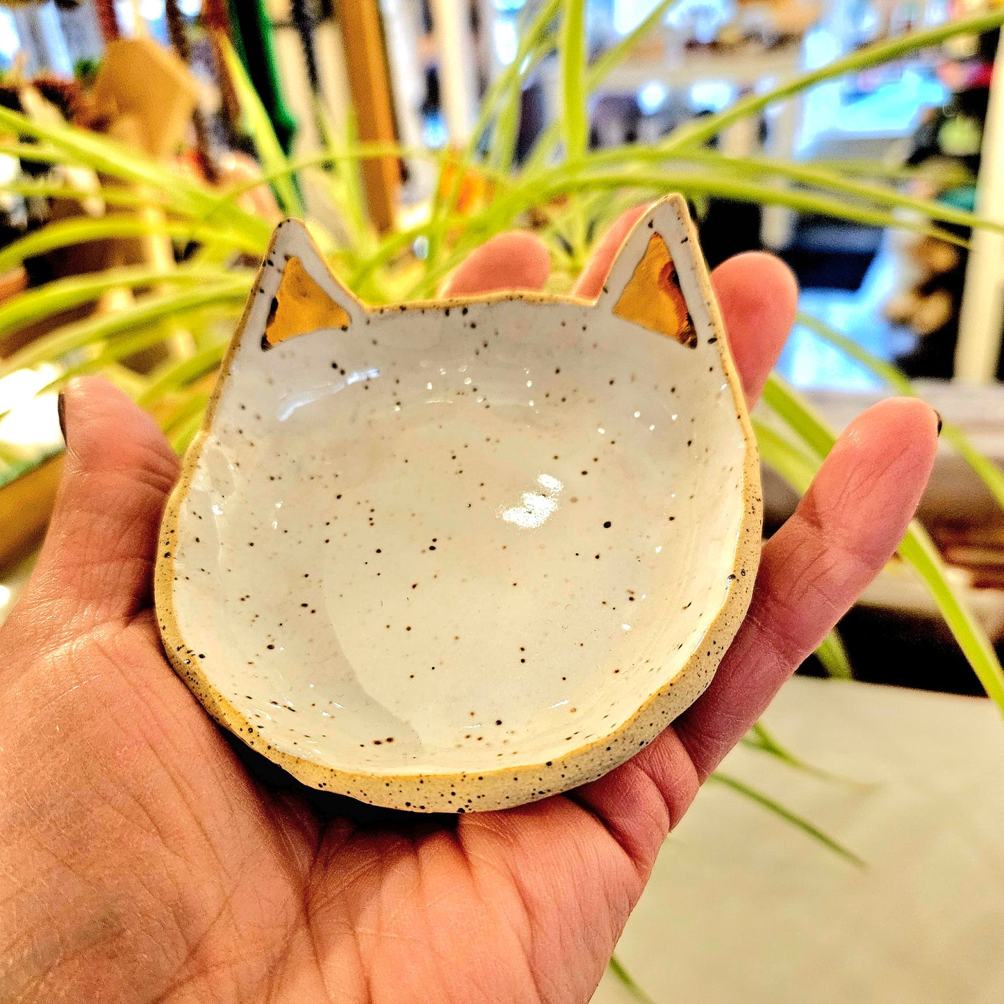 Ceramic Jewelry Dishes