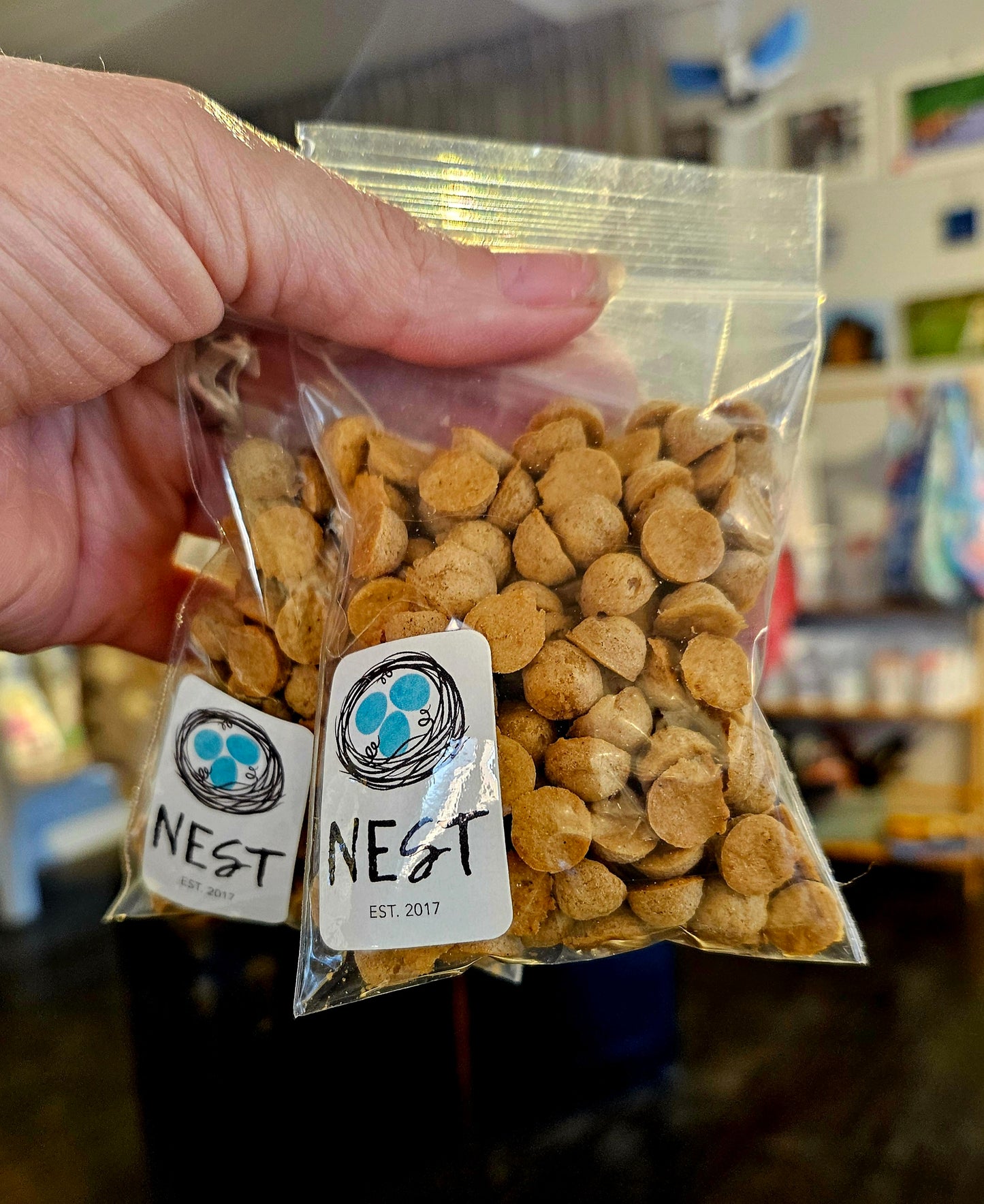 Cat Treats - Salmon Snax