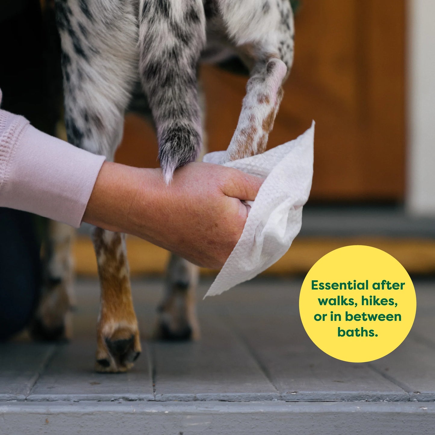 Earth Rated® Unscented Dog Wipes
