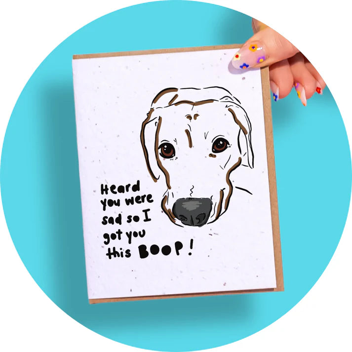 Wildflower Seed Plantable Greeting Cards