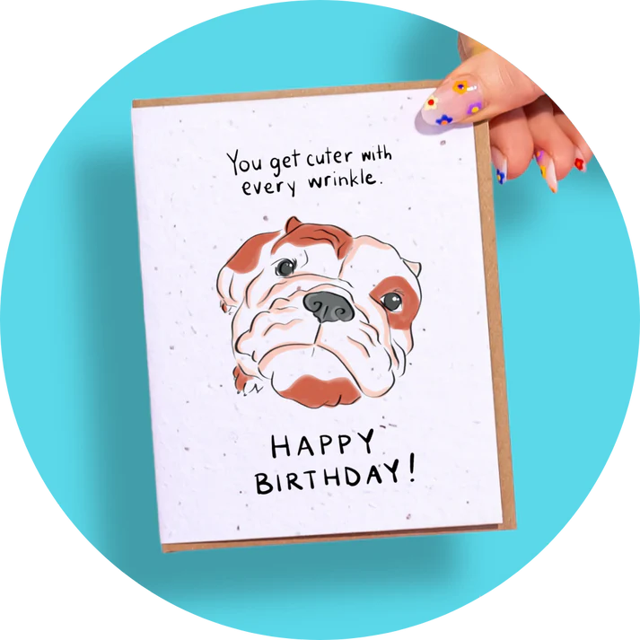 Wildflower Seed Plantable Greeting Cards