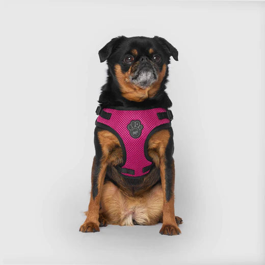 Canada Pooch® Easy-On Step-In Harness