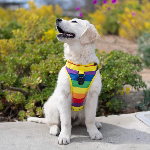 Canada Pooch®: The Everything Harness Water-Resistant Series