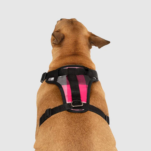 Canada Pooch®: The Everything Harness Water-Resistant Series