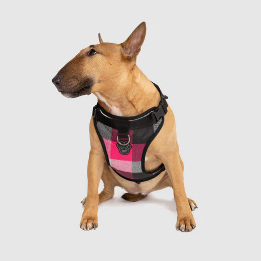 Canada Pooch®: The Everything Harness Water-Resistant Series