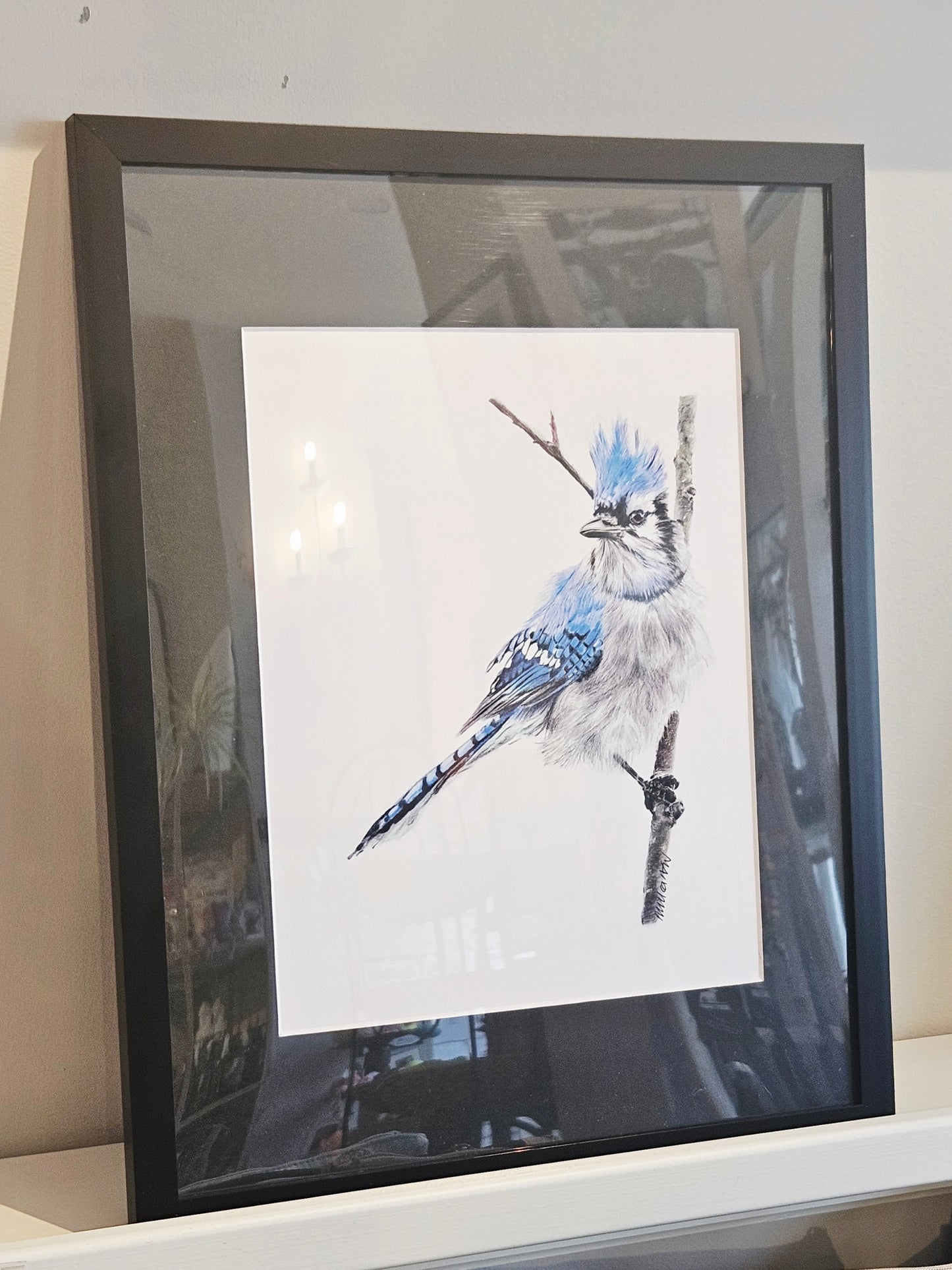Original Wildlife Pencil Drawings
