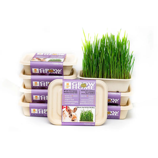 Fog Farms - Grass Kit for Cats and Small Animals