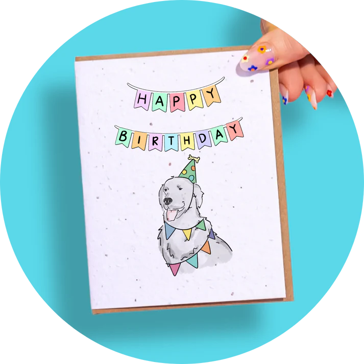 Wildflower Seed Plantable Greeting Cards