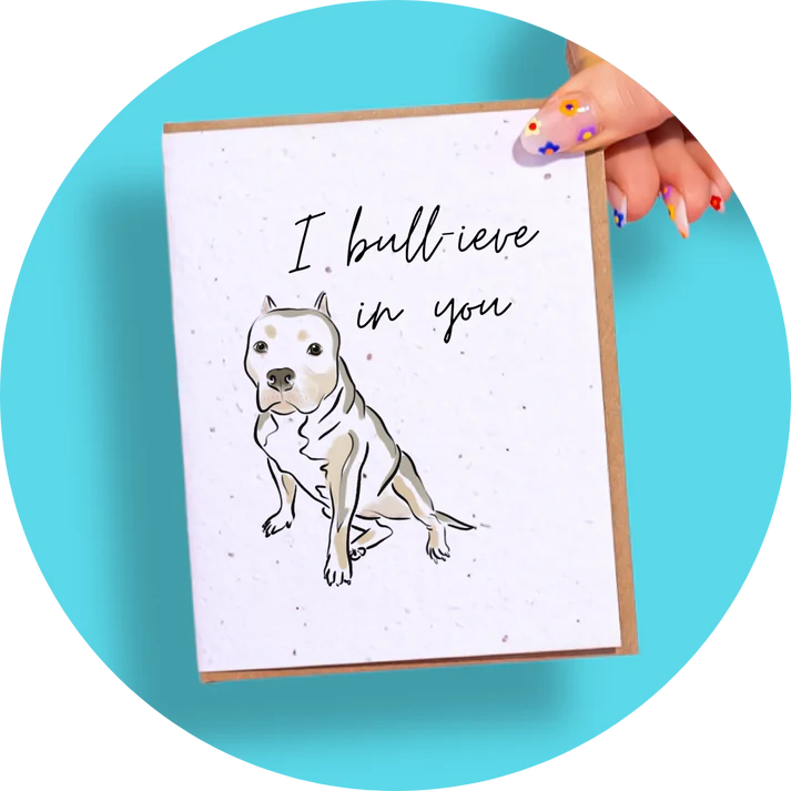 Wildflower Seed Plantable Greeting Cards