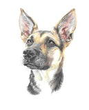 Custom Pet Pencil Portraits - by Mili