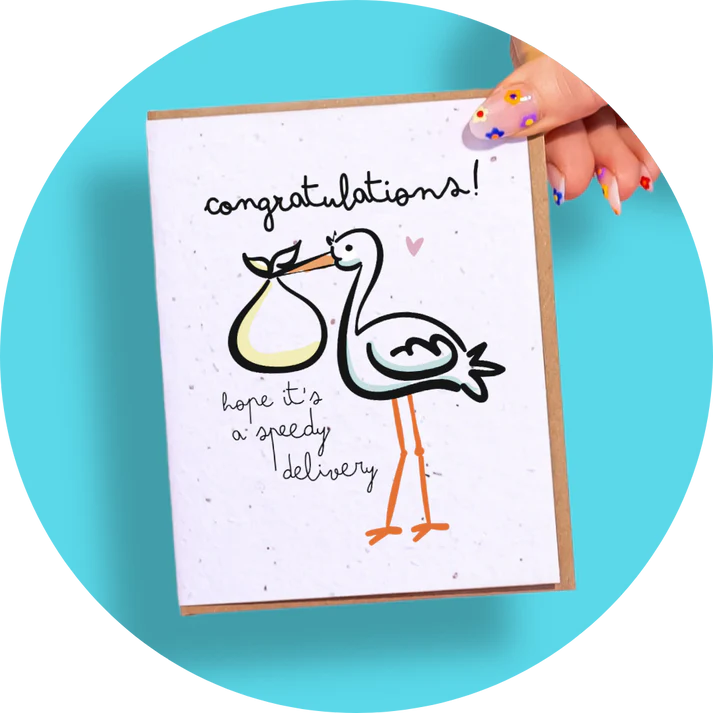 Wildflower Seed Plantable Greeting Cards