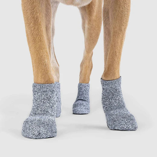 Canada Pooch® The Basic Sock