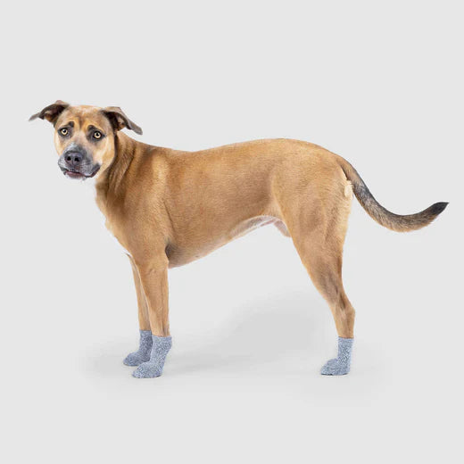 Canada Pooch® The Basic Sock