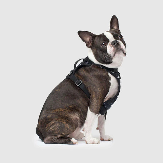 Canada Pooch®: The Everything Harness Water-Resistant Series