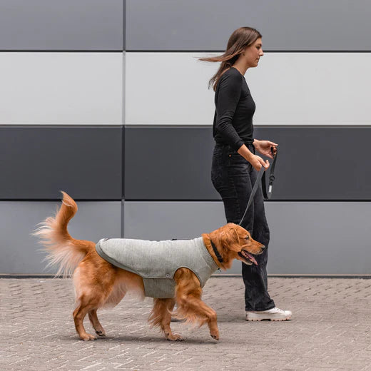 Canada Pooch® Waterproof Sweater