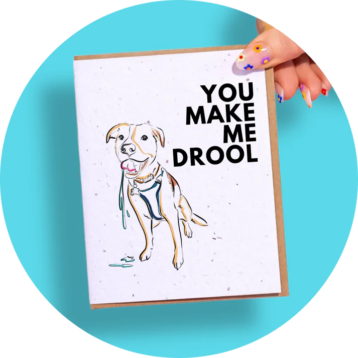 Wildflower Seed Plantable Greeting Cards