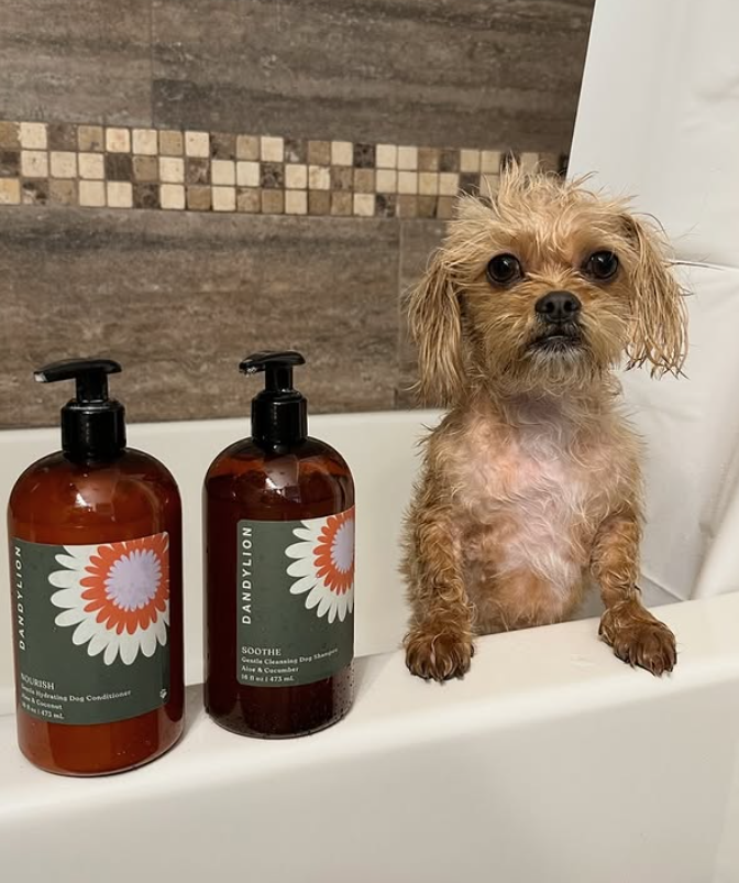 Soothe Gentle Cleansing Dog Shampoo