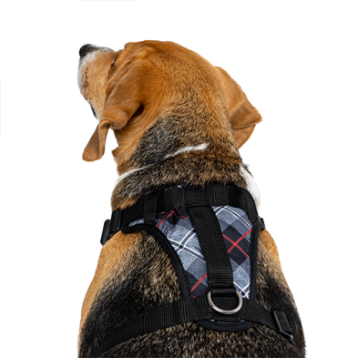 Canada Pooch®: The Everything Harness Water-Resistant Series