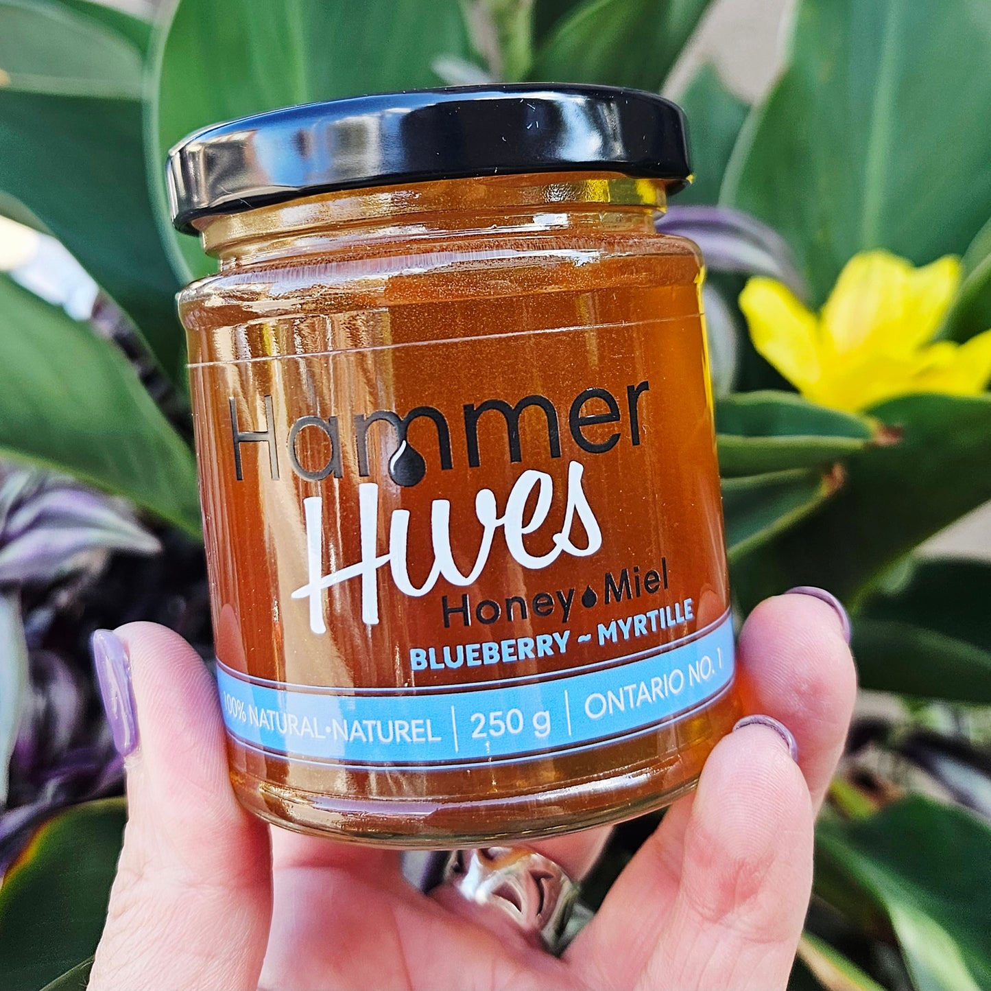 100% Ontario Honey
