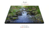 Earthprints by Blake Richardson