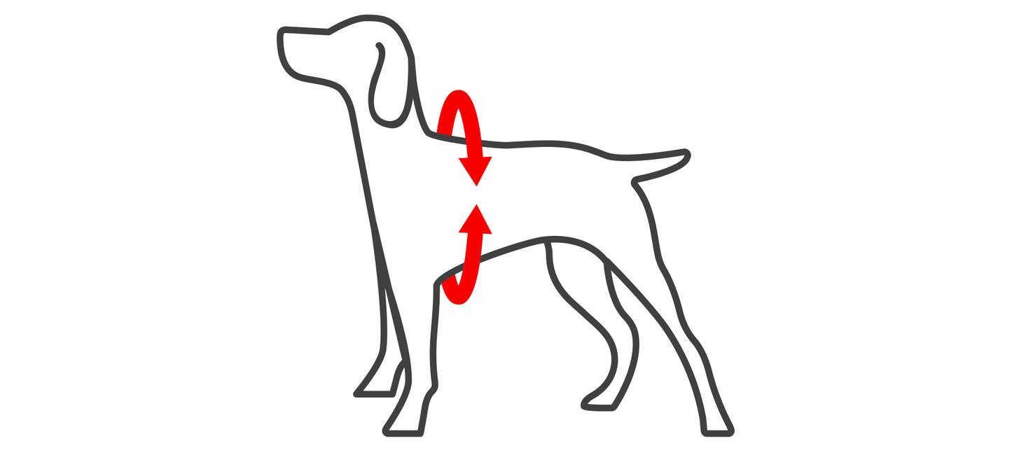 Canada Pooch® Easy-On Step-In Harness