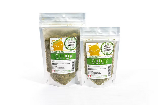Organic Catnip