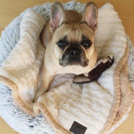 Tall Tails Dog Toys
