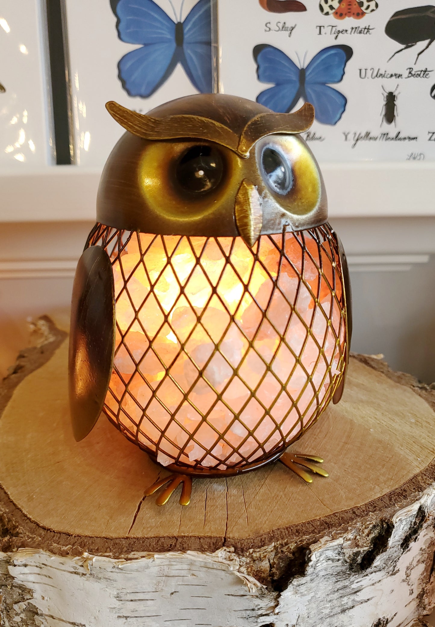 Salt Lamps