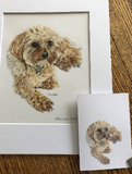 Custom Pet Pencil Portraits - by Mili