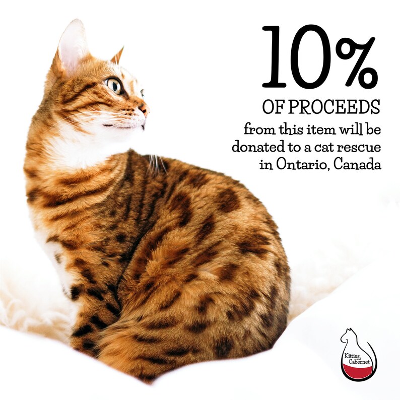 Kitties & Cabernet - Stickers