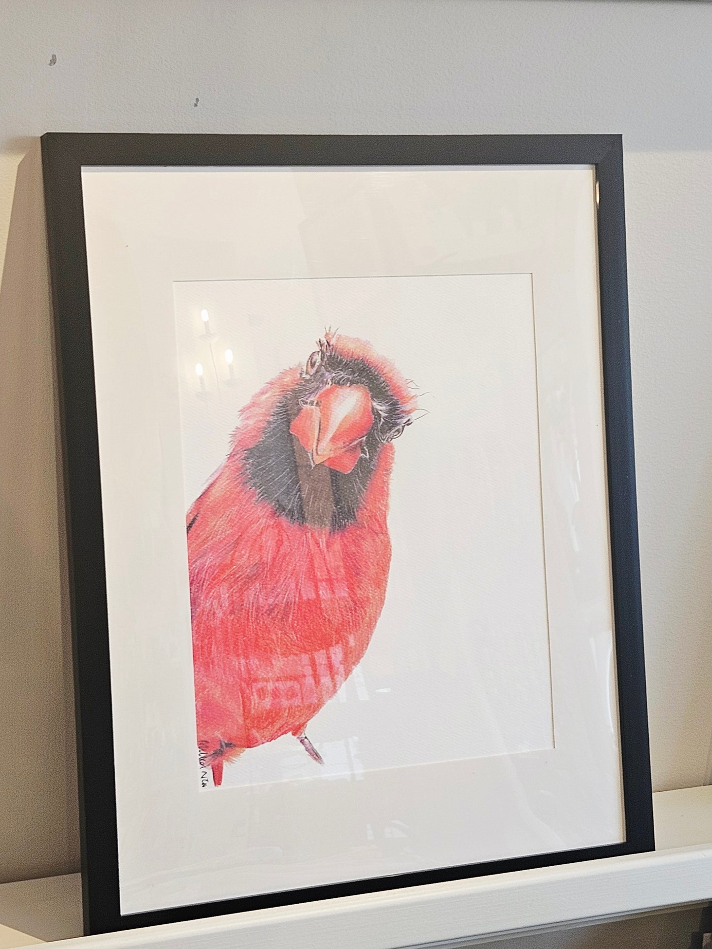 Original Wildlife Pencil Drawings