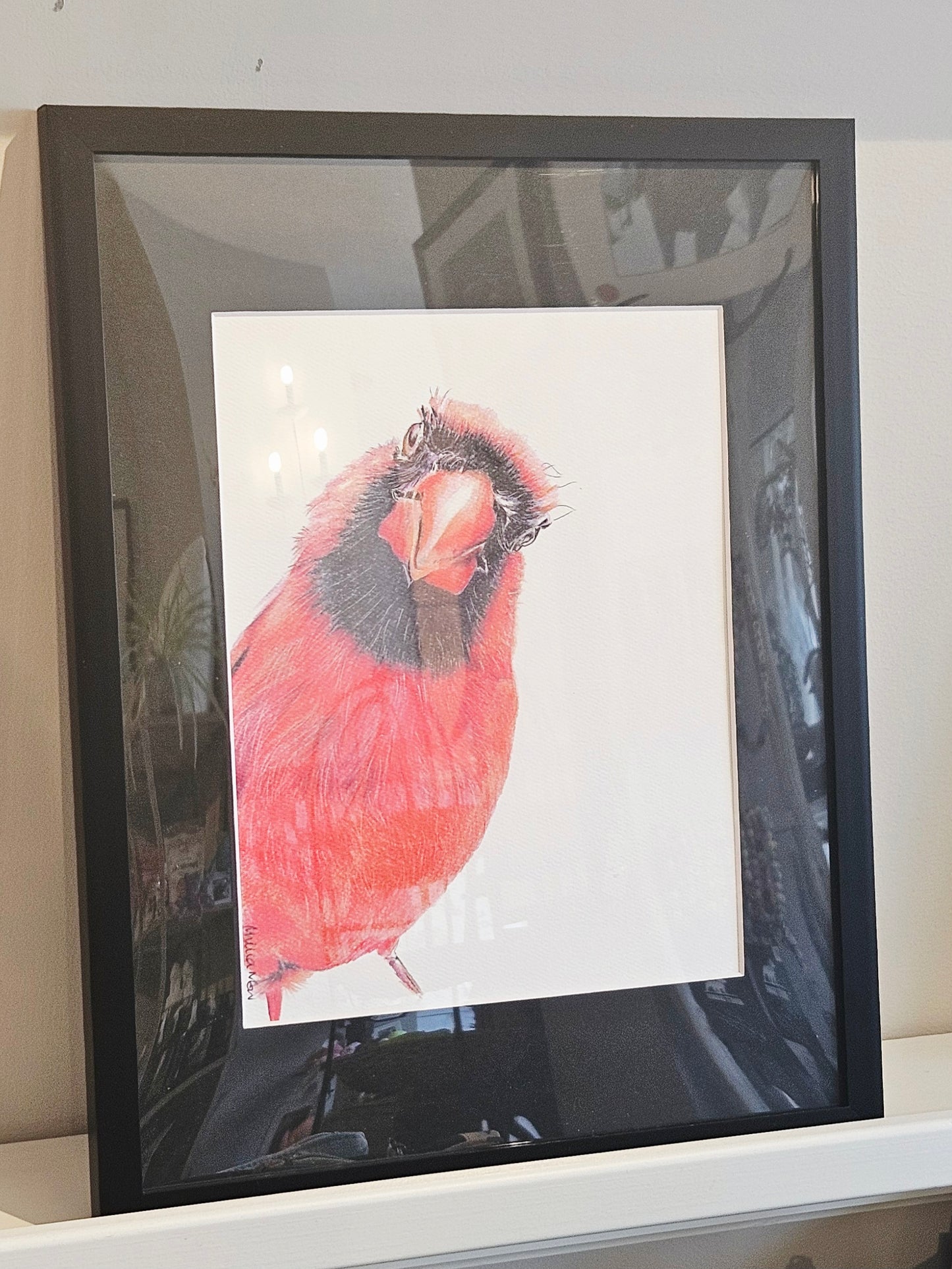 Original Wildlife Pencil Drawings