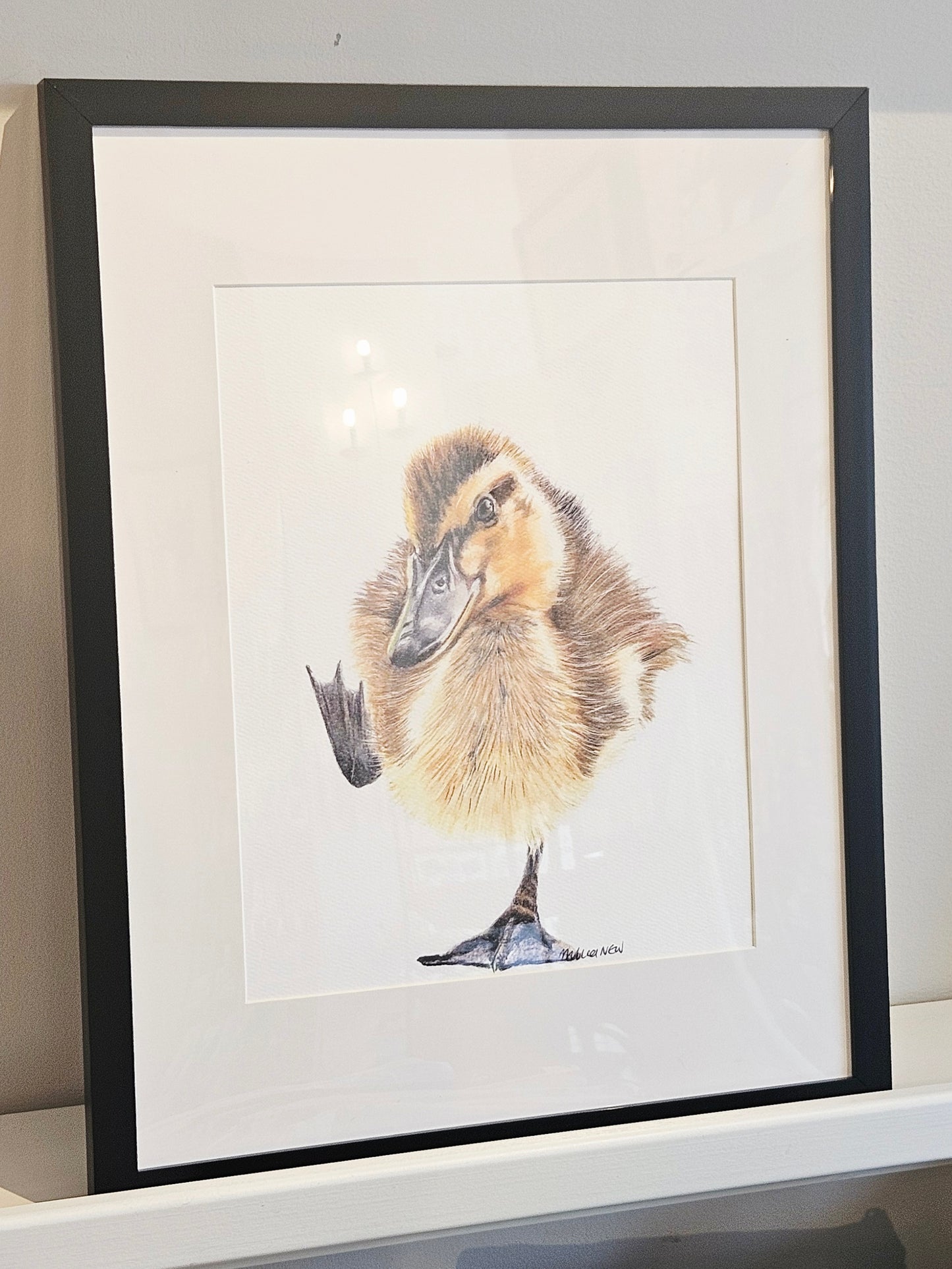 Original Wildlife Pencil Drawings