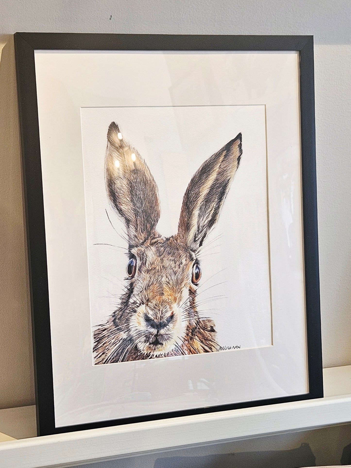 Original Wildlife Pencil Drawings