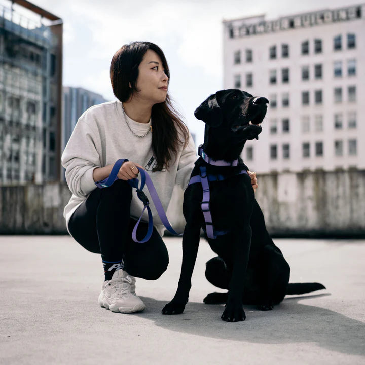 Woof Concept Waterproof Leashes