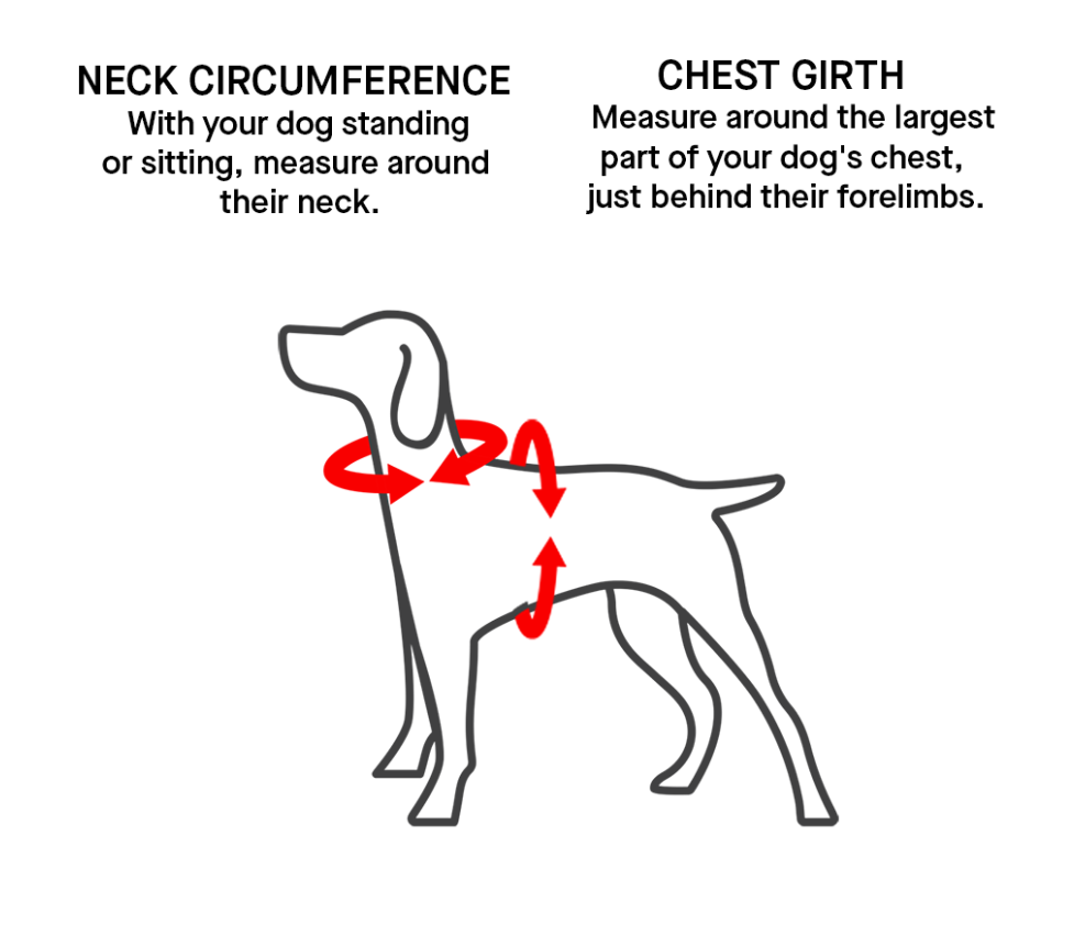 Canada Pooch®: The Everything Harness Water-Resistant Series