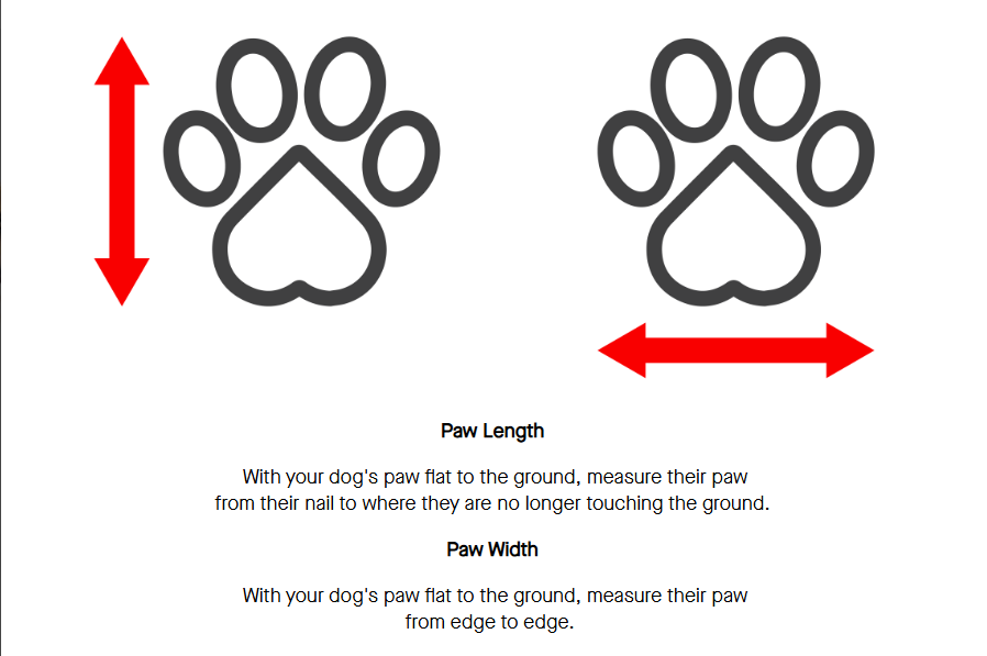 Canada Pooch® The Basic Sock