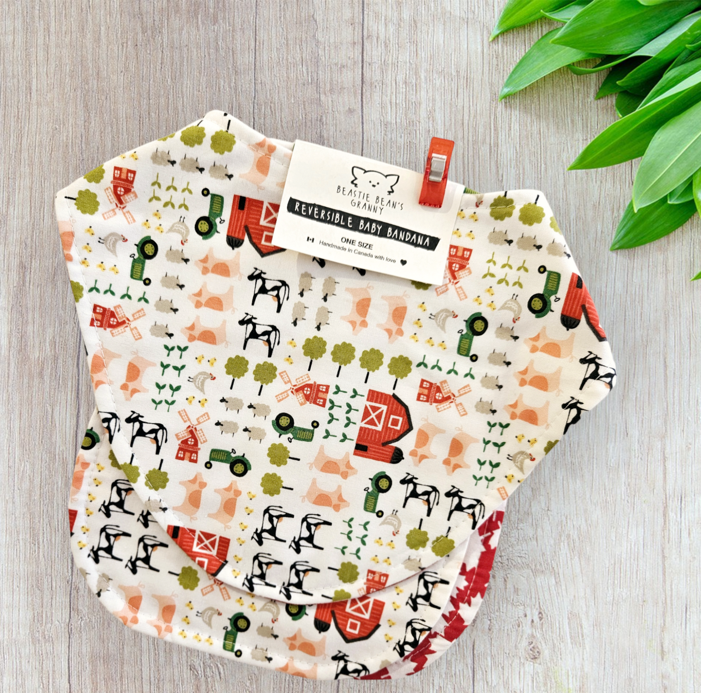 BABY SET - Reversible Baby Bib + Shoulder Throw