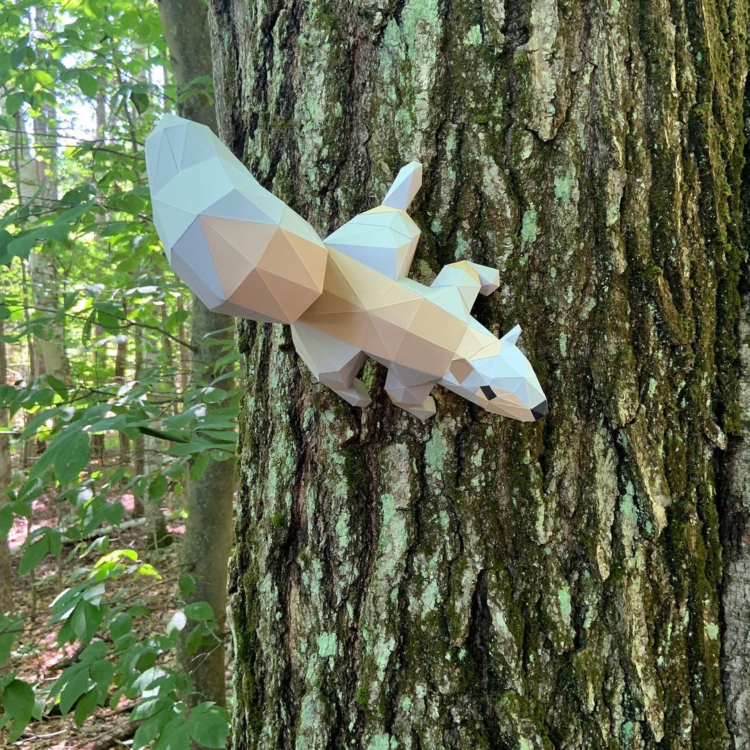 Displays, Demos and Model Art