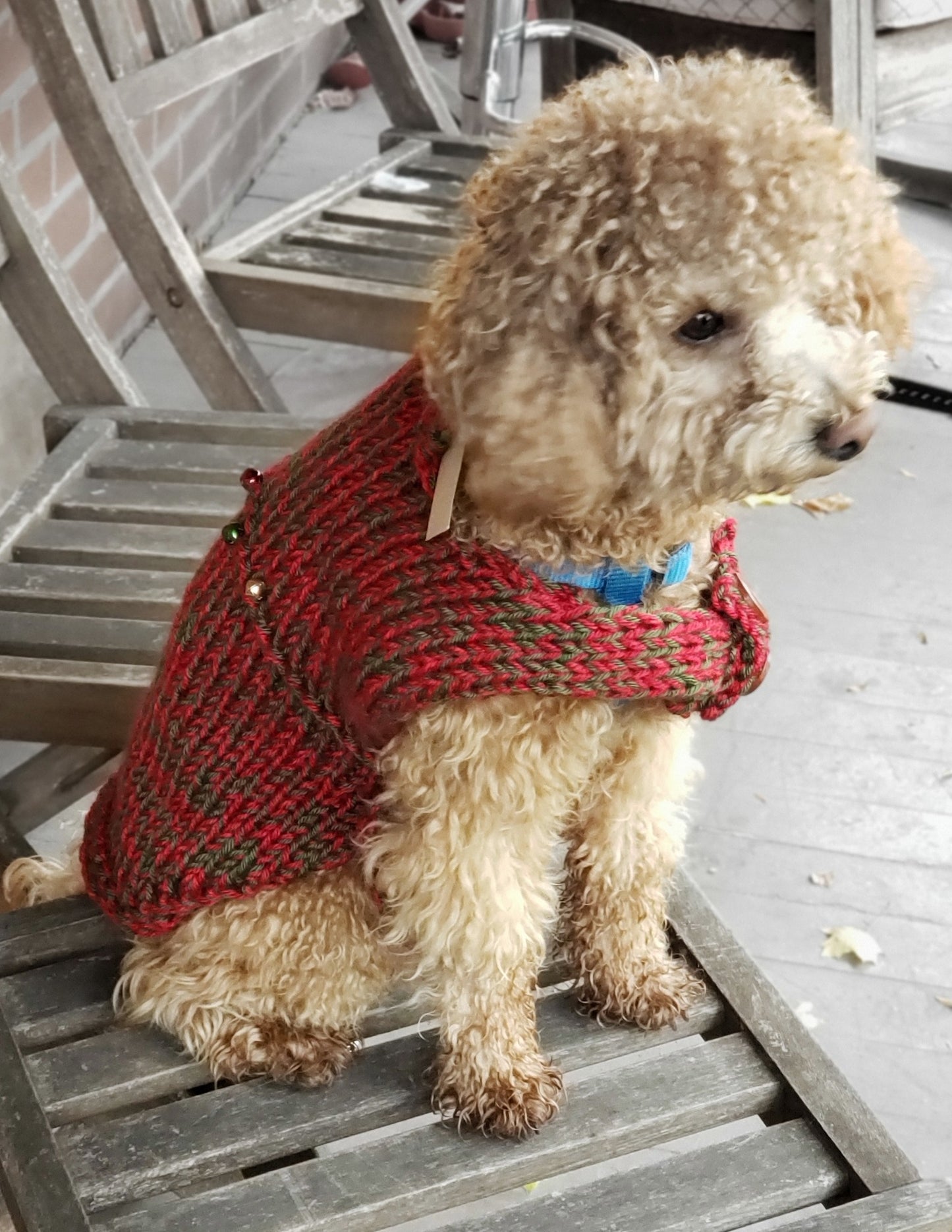 Dog Sweaters
