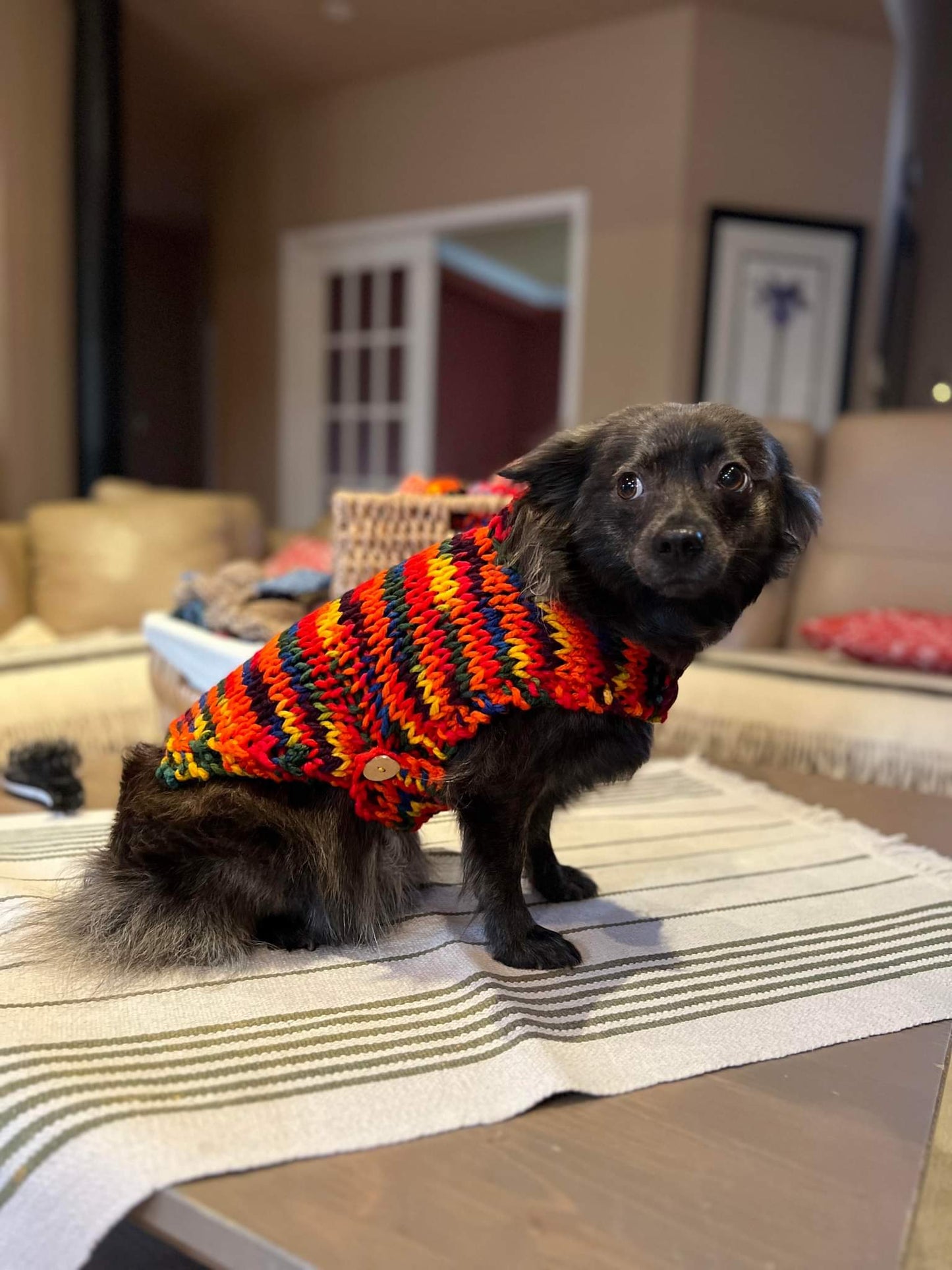 Dog Sweaters