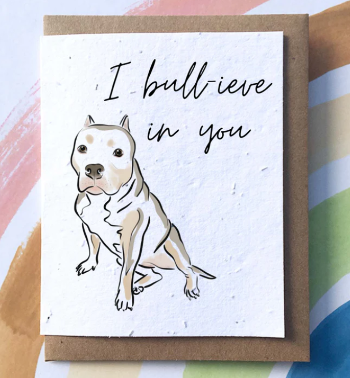 Wildflower Seed Plantable Greeting Cards