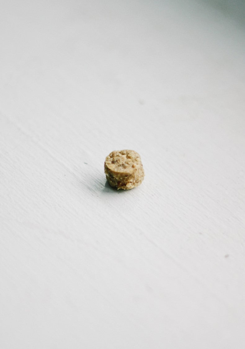 Treatoes Dog Treats - Peanut Butter Bites