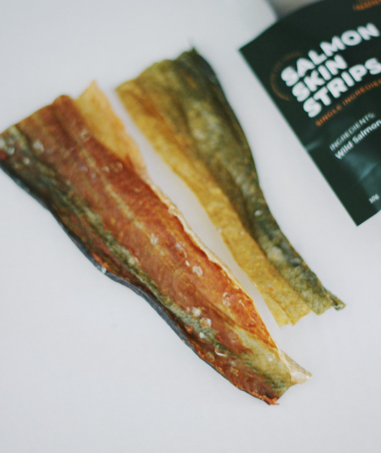 Treatoes Dog Treats - Salmon Skin Strips