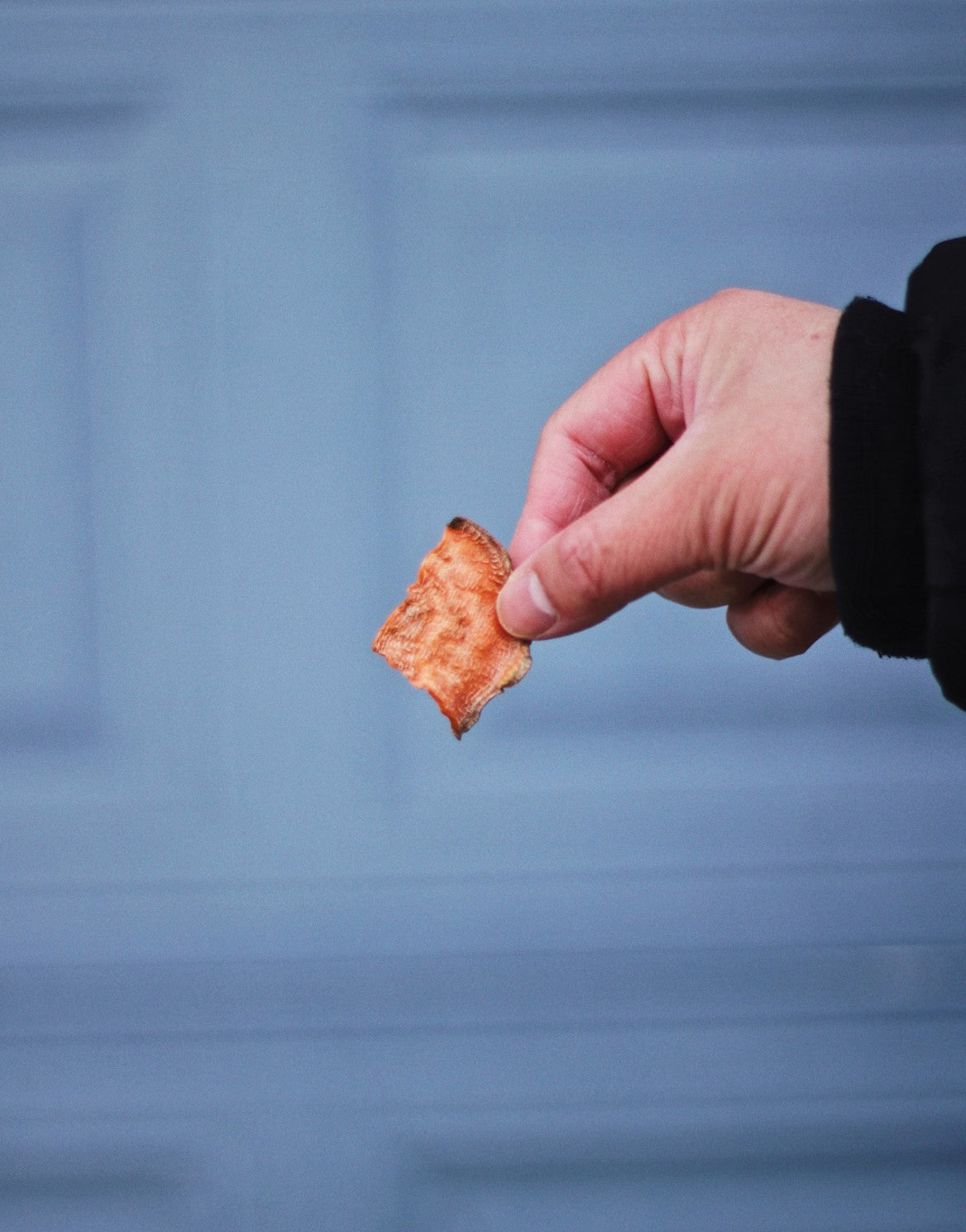 Treatoes Dog Treats - Sweet Potato Chips