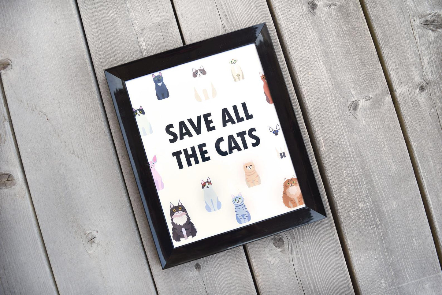 Cat Art Prints