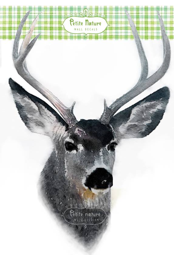 Watercolour Wall Decals